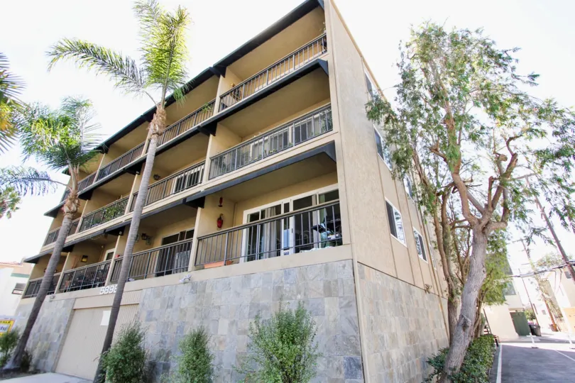 The trees around the building at 5898 E Naples Plaza