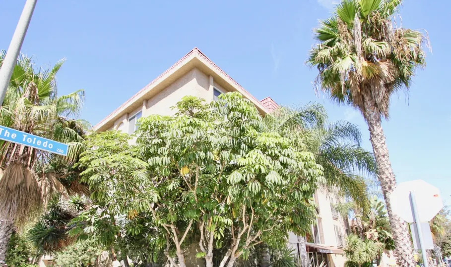 The trees in front of 5959 E Naples Plaza
