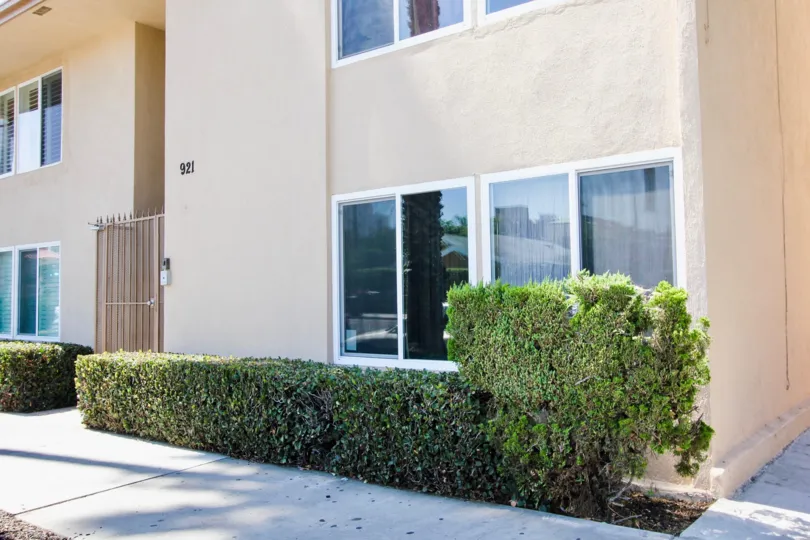 The hedges around 921 Pacific Ave