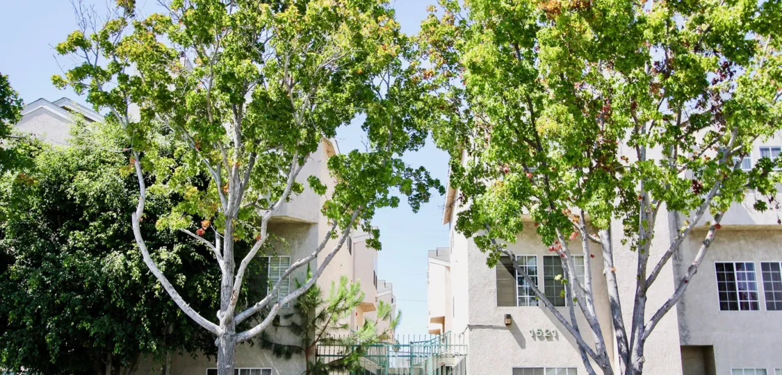 The skyline behind the Atrium Courts