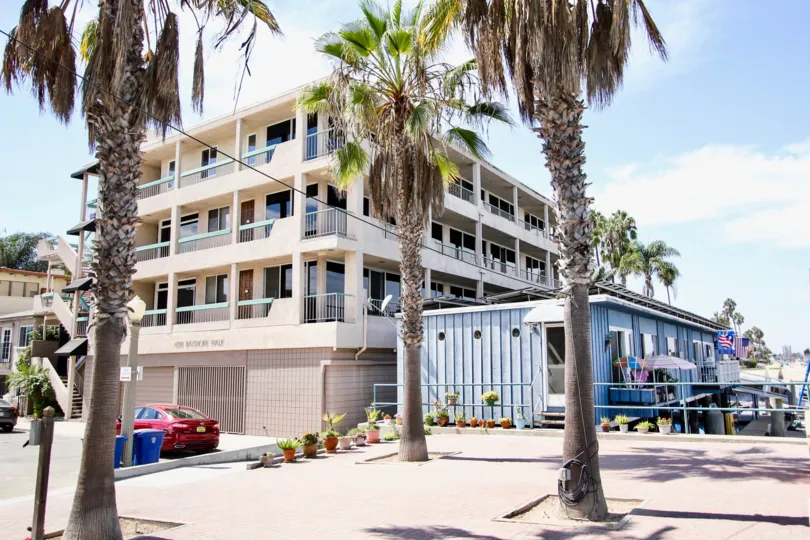 The palm trees in front of the Bay Yacht Club