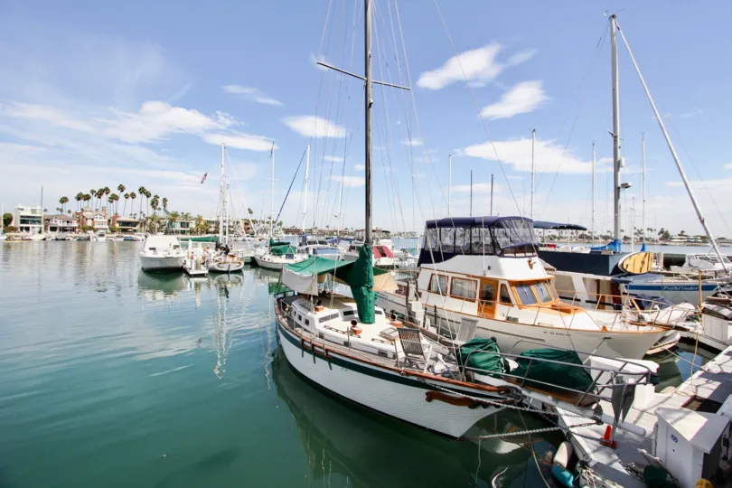 The sailing taking place around the Bay Yacht Club