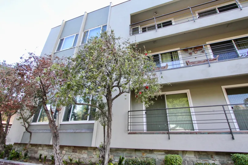 The trees in front of Beach Park Condos