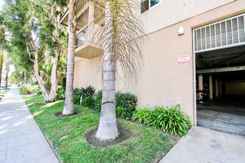 The trees around the Belmont Villas in Long Beach, California