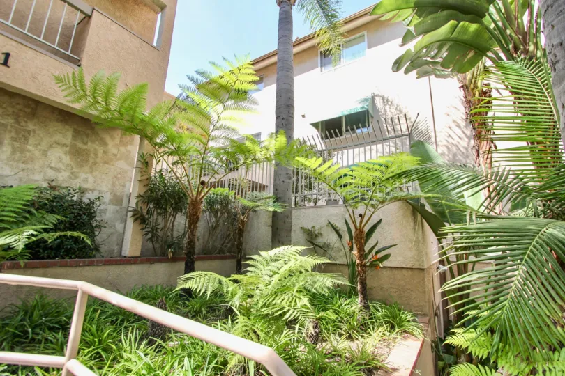 The landscaping in the Belmont Villas