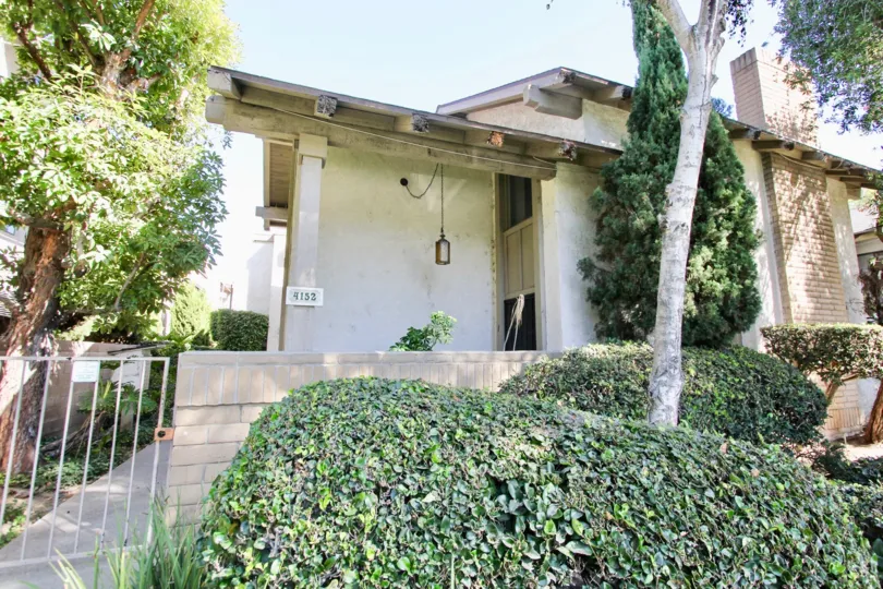 The hedges around Bixby Knolls in Long Beach, California