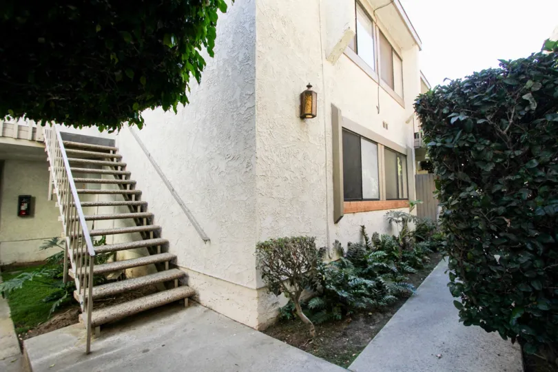 The plants around the Bixby Knolls building