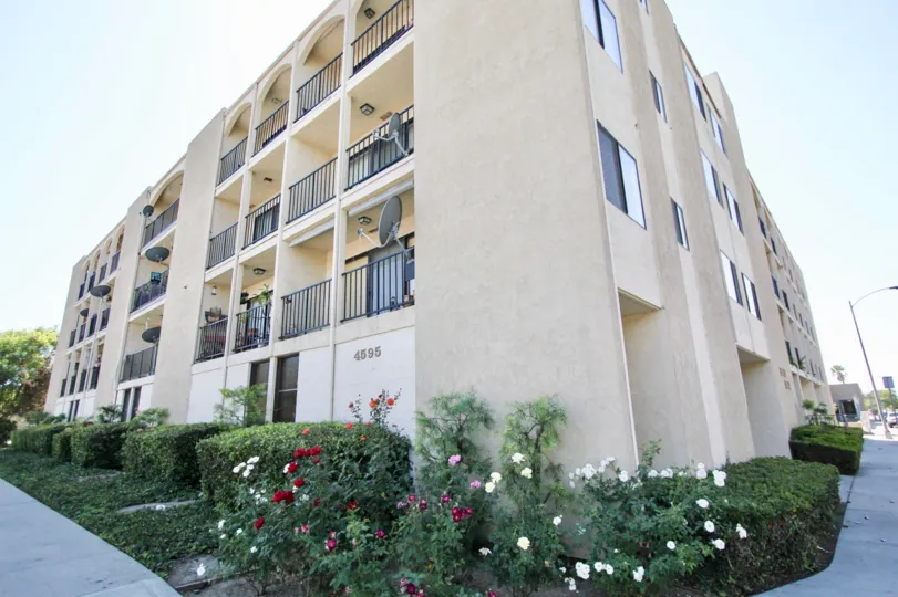 The plants around the Bixby Villas in Long Beach, California