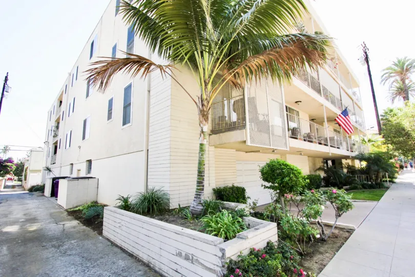 The landscaping around Cambridge in Long Beach, California