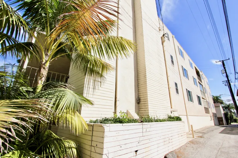 The view of the Cambridge building