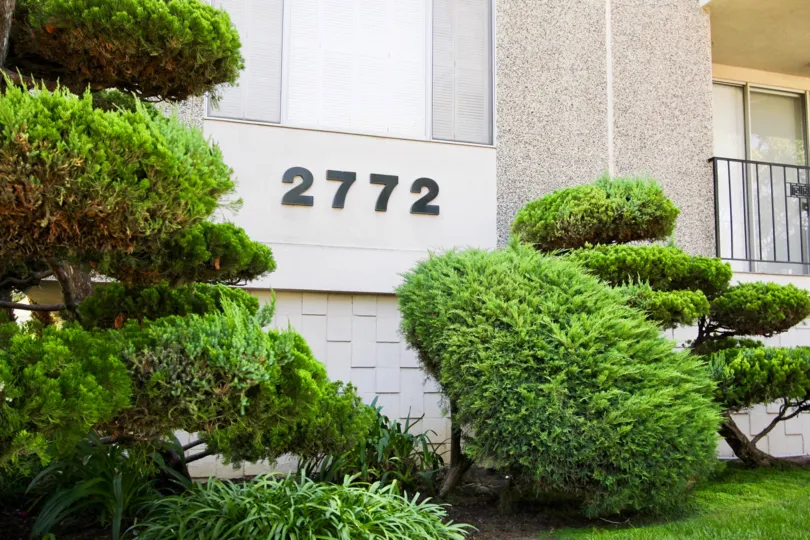 The address on the Carlton Imperial building