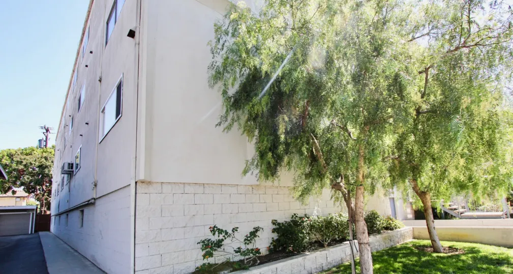 The tree outside of Casa De Oro in Long Beach, California