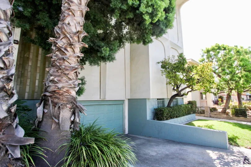 The trees in front of Casa Verde