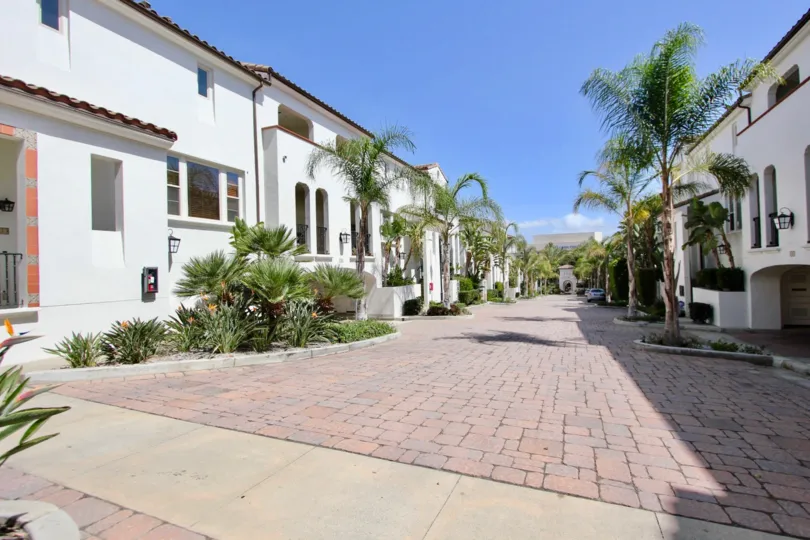 The trees around the Cienega Townhomes