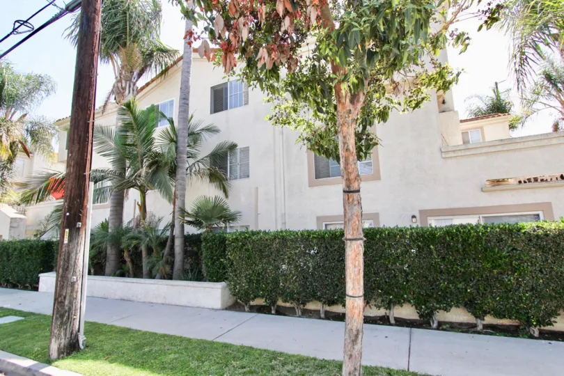The hedges lining East Park Villas in Long Beach, California