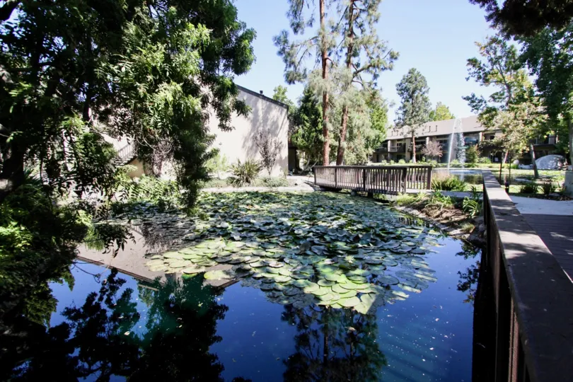 The water seen around El Dorado Lakes
