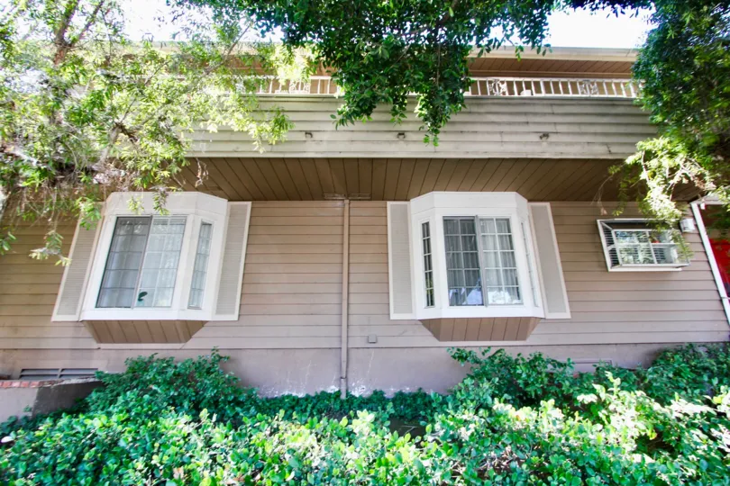The windows seen in Elm Treei n Long Beach, California