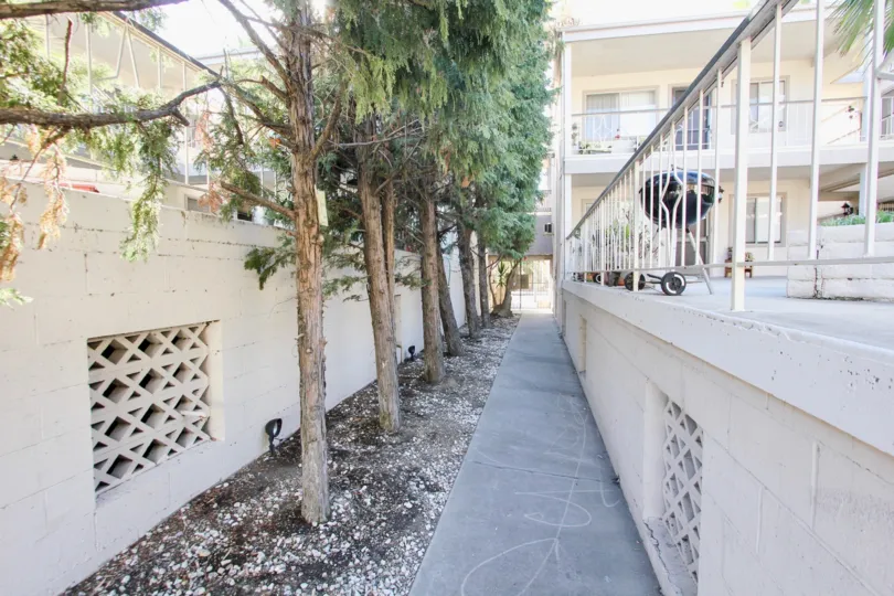 The trees lining the Elmwood Villas building in Long Beach, California