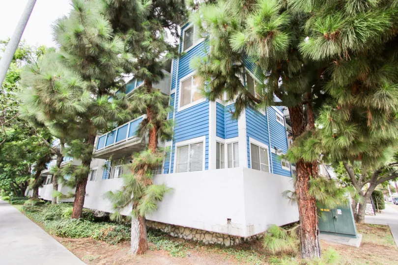 The coner of Gaviota Heights in Long Beach, California