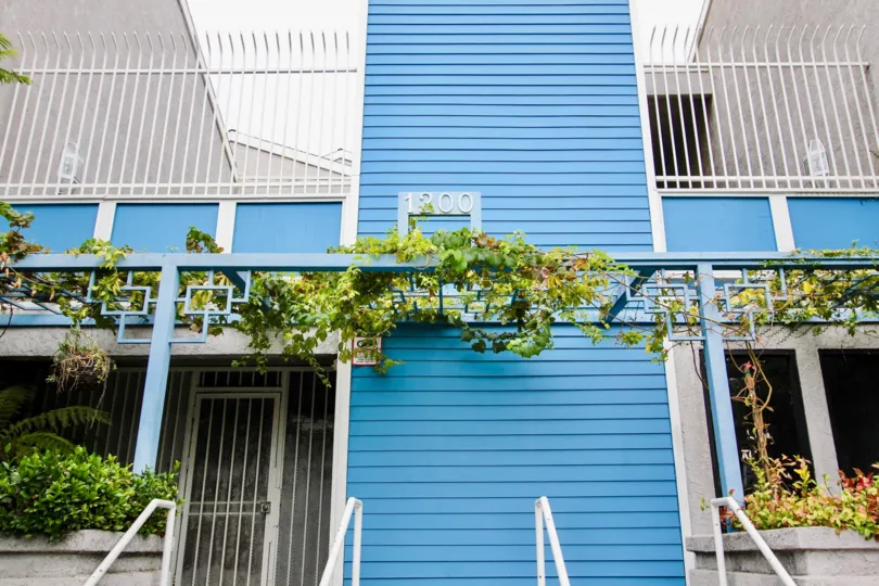 The vines along the building at Gaviota Heights