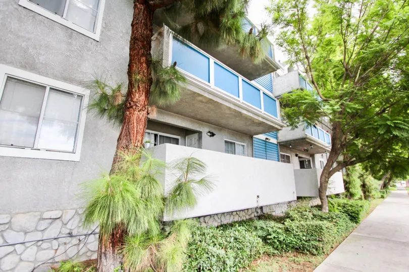 The hedges next to the Gaviota Heights building