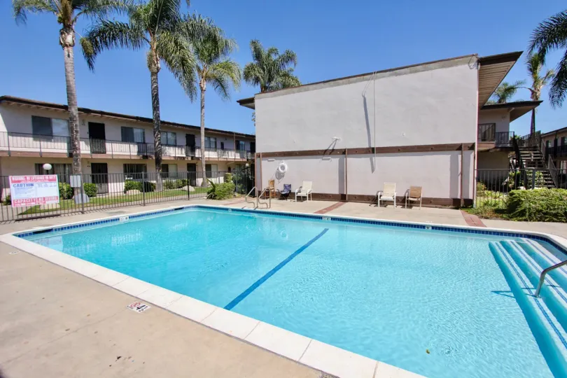 The palm trees around the pool area at Hampton Condominium