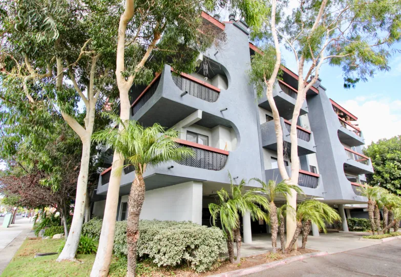 Trees surrounding an apartment building in Loma Linda, Long Beach, California.