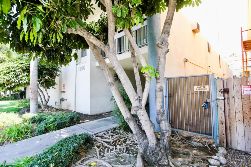 The landscaping around Long Beach Redondo West