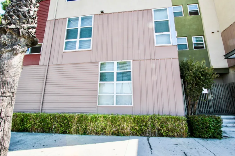 The hedgs lining Olive Court in Long Beach, California