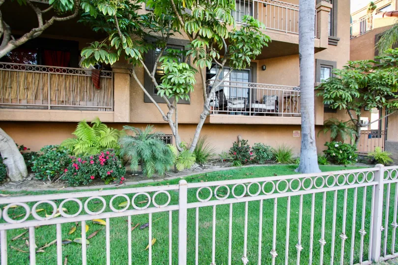 The yard in front of Palm Oasis