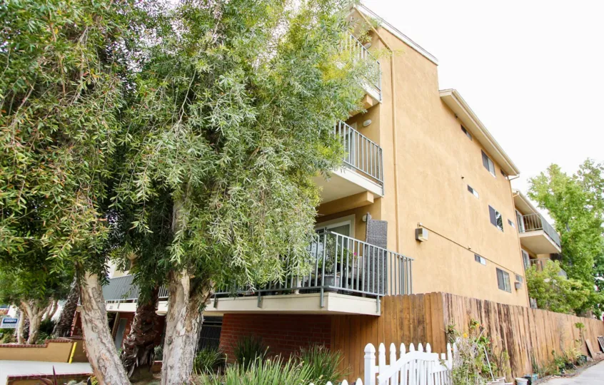 The trees around Ransom Regency in Long Beach, California