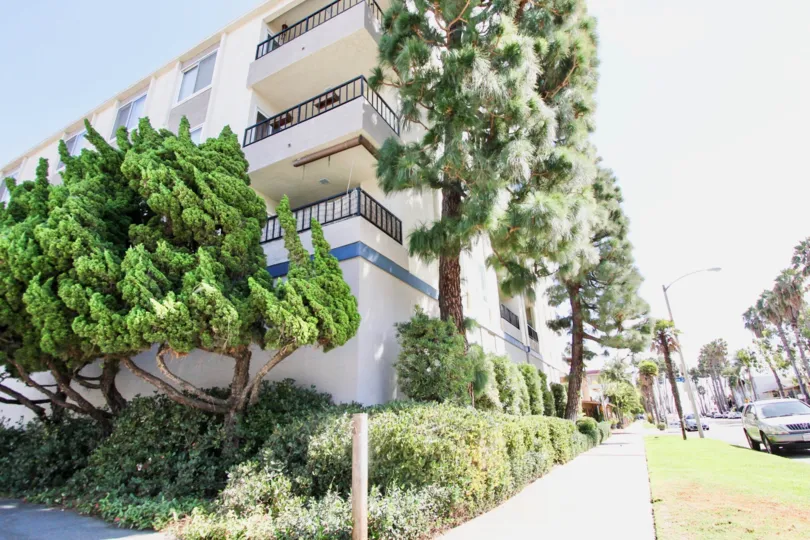 The landscaping seen around Savona Villa