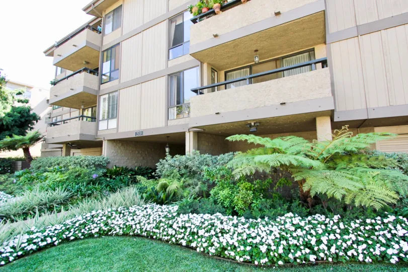 The greenery at Second Street Condominiums