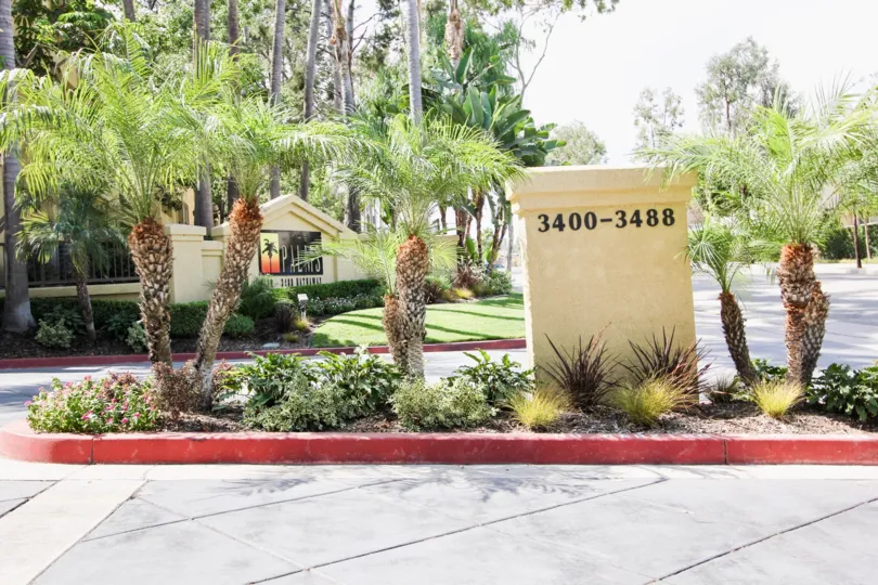 The plants around The Palms