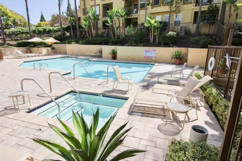 The pool area at The Palms