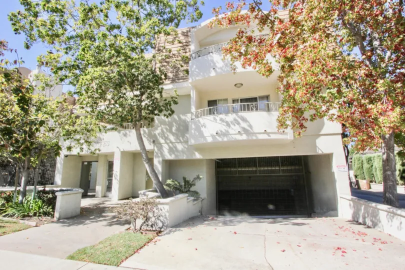 The trees around The Park Estates in Long Beach, California