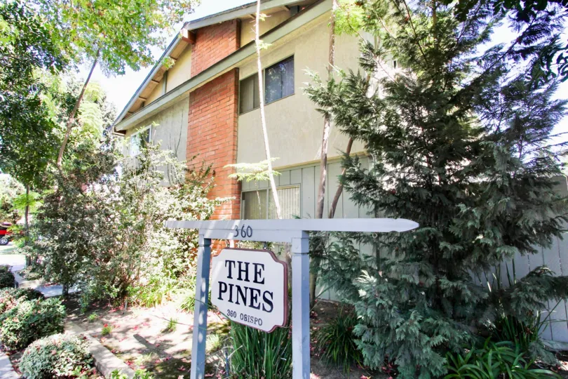 The address for The Pines