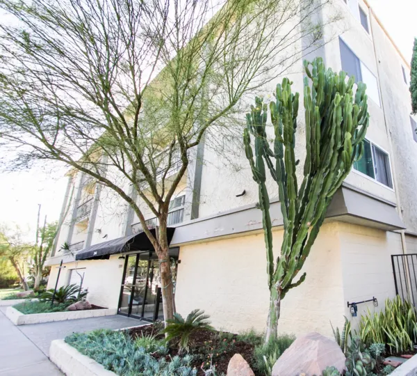 The landscaping around Third Street East