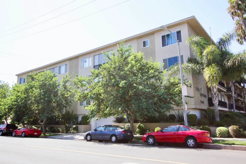 The trees lining Tiara Imperial in Long Beach, California
