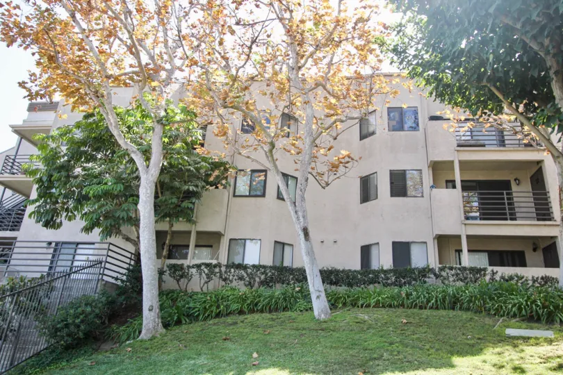 The yard in front of Villa Pacifica