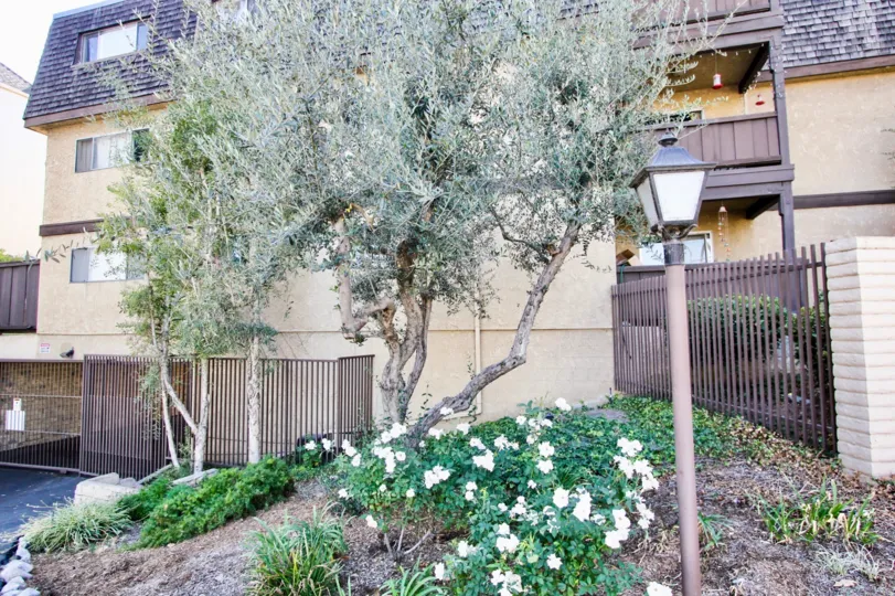 The landscaping around Virginia Village in Long Beach, California