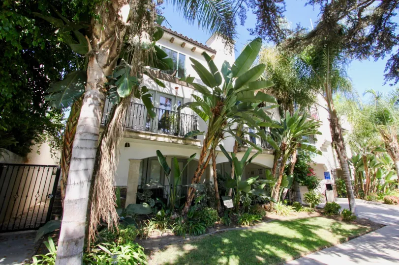 The landscaping around 4301 Los Feliz Blvd in Los Feliz, Cailfornia
