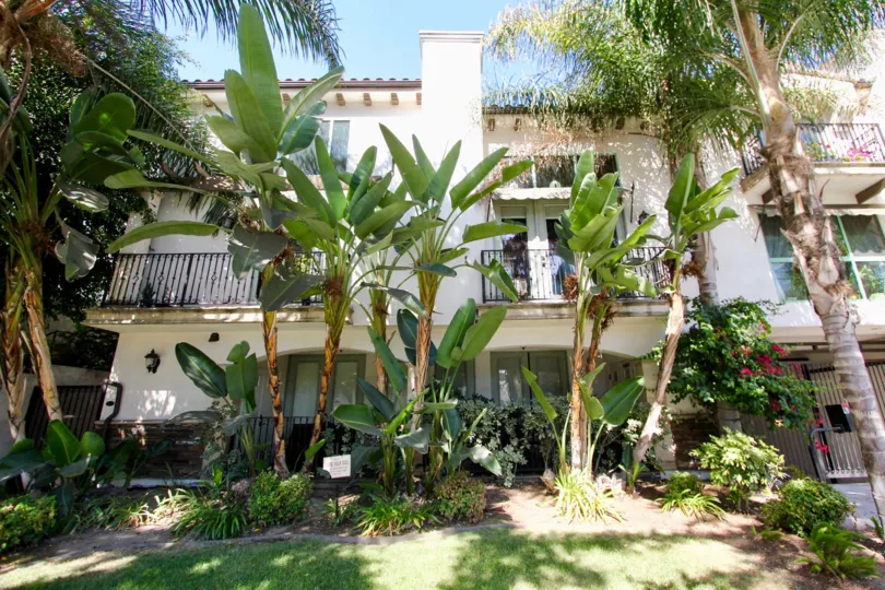 The trees in front of 4301 Los Feliz Blvd