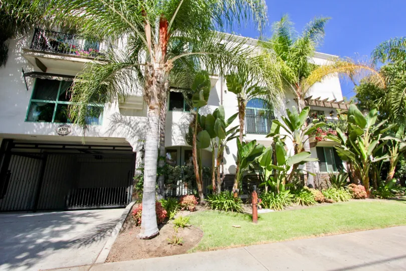 The yard in front of 4301 Los Feliz Blvd