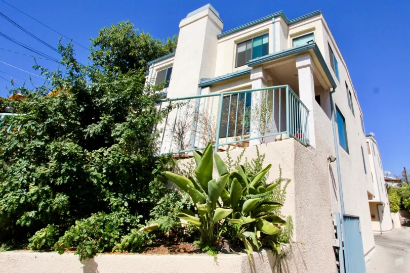 The landscaping around Clayton Avenue in Los Feliz, California