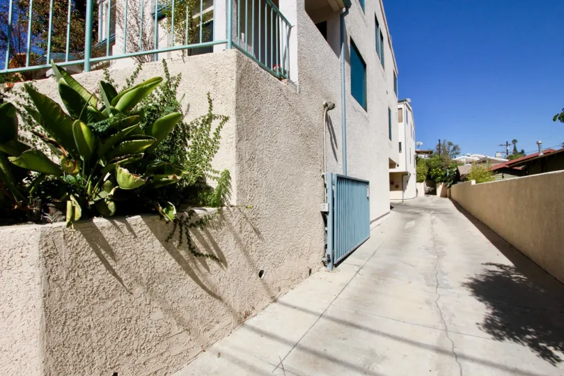The driveway up to Clayton Avenue