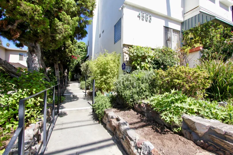 The sidewalk next to Finley Capri