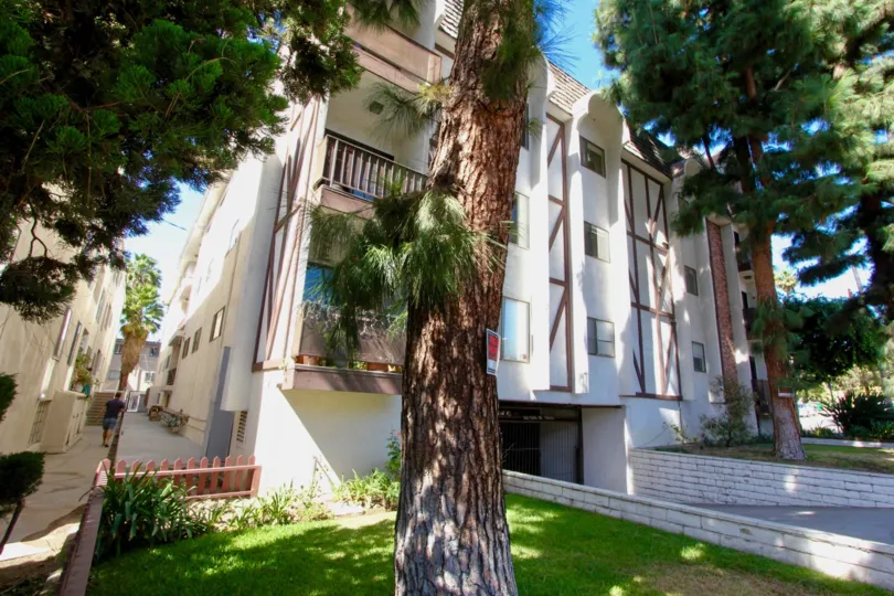 The yard in front of Los Feliz Condominiums