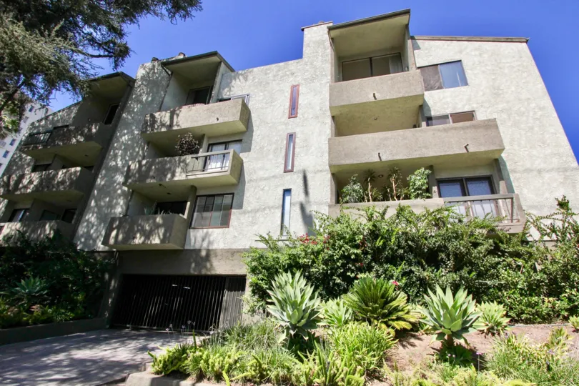 The landscaping around Los Feliz Condos
