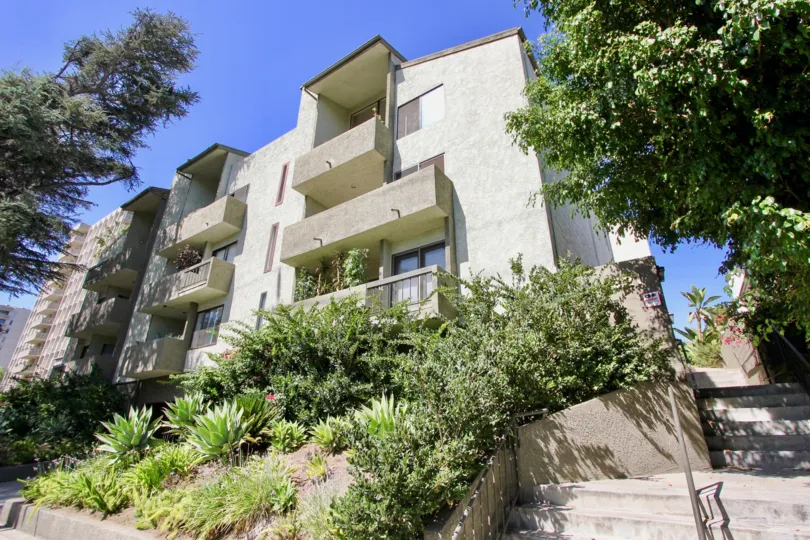 The structure of the Los Feliz Condos